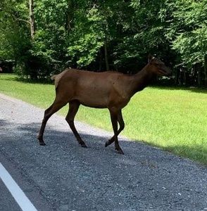 Meet your Posher, Antonio